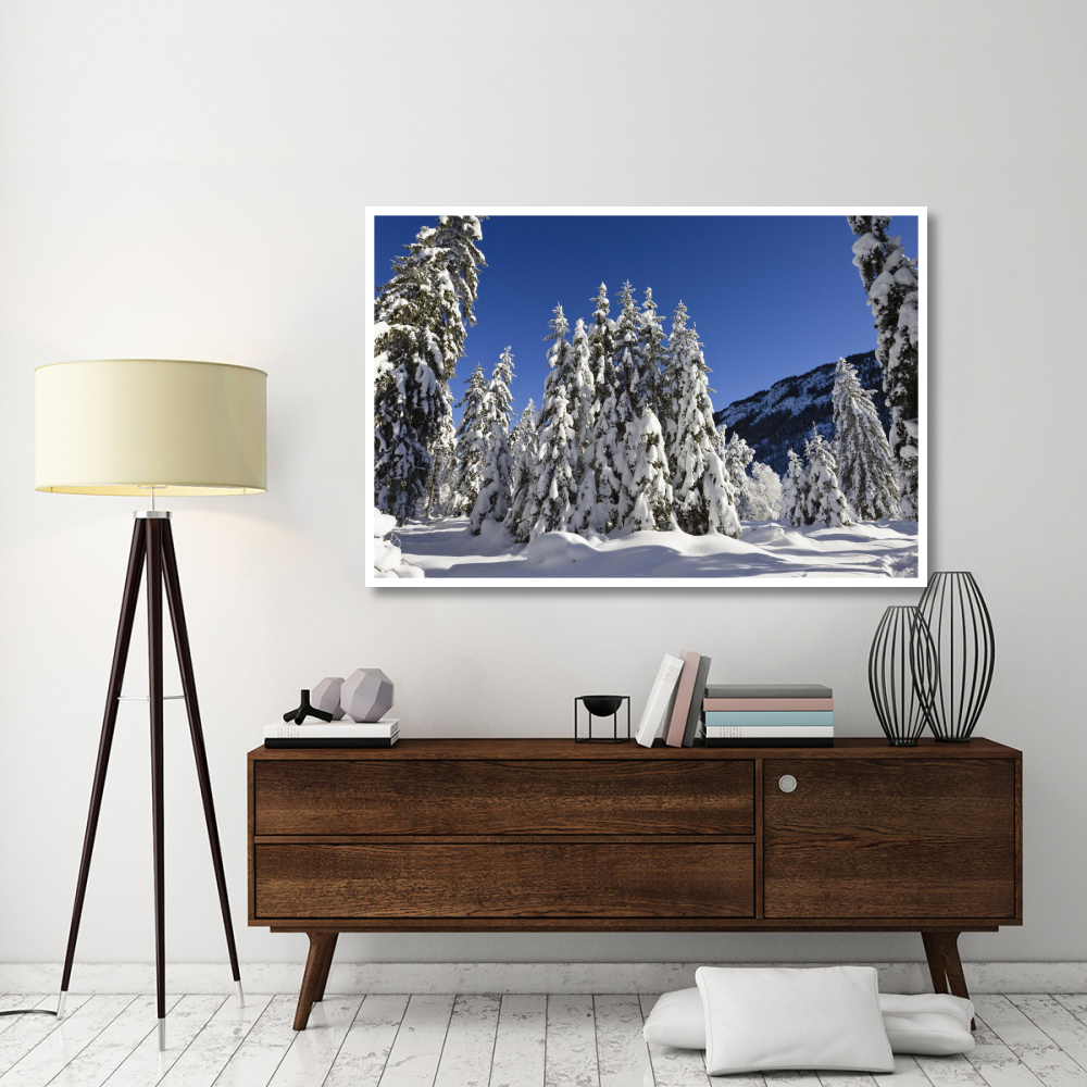 Coniferous forest in winter, Wetterstein Mountains, Alps, Upper Bavaria, Germany-Paper Art-62&quotx42"