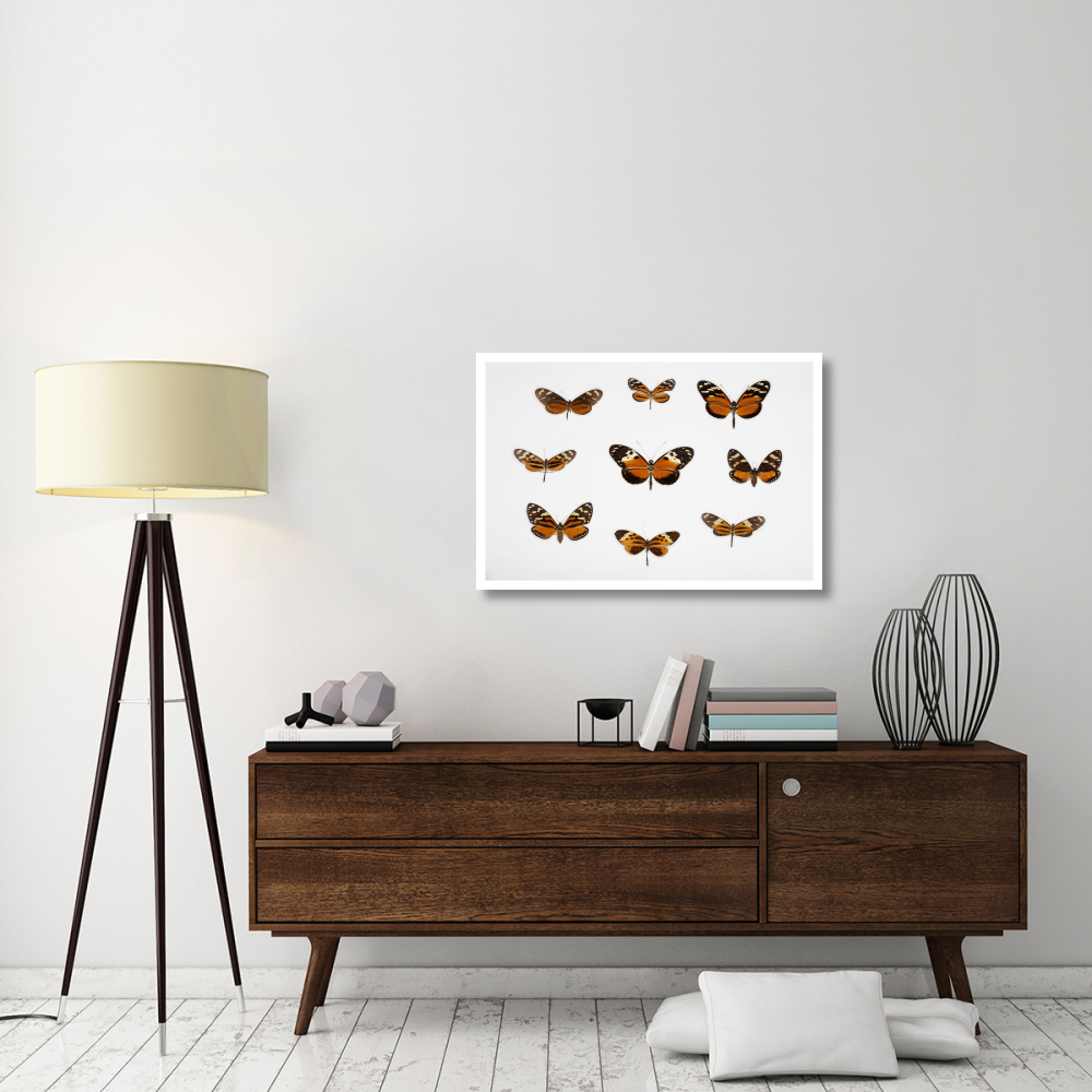Butterflies-Paper Art-38&quotx26"