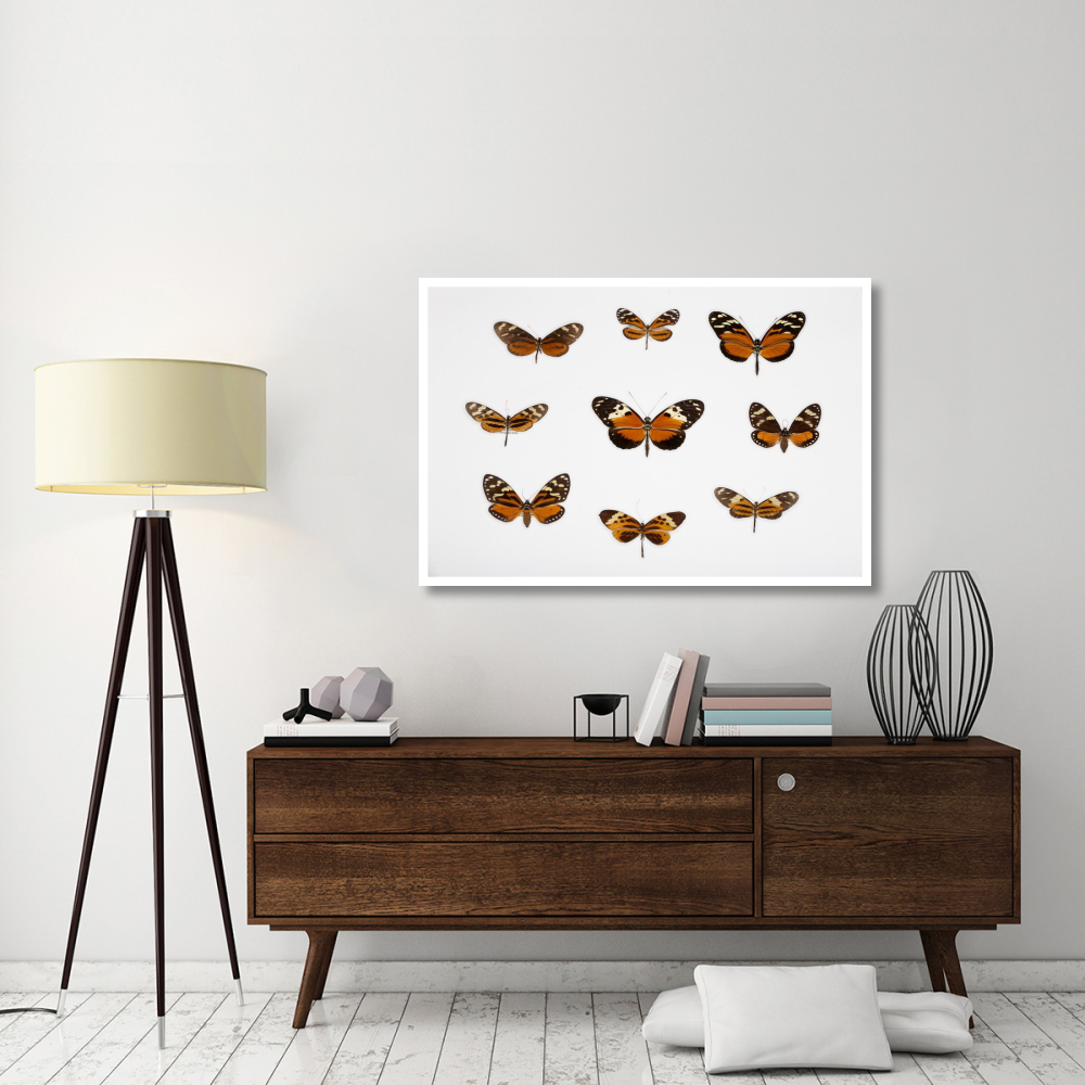 Butterflies-Paper Art-50&quotx34"