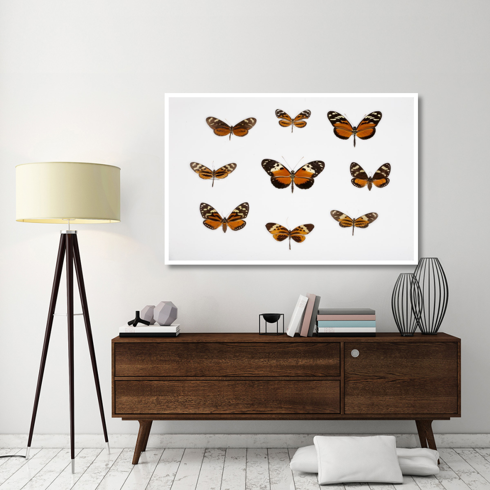 Butterflies-Paper Art-62&quotx42"