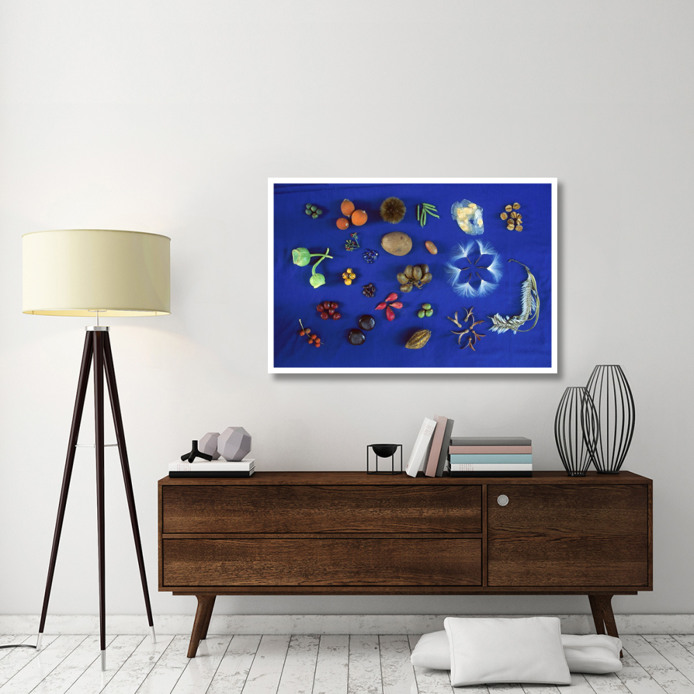 Seed diversity, Barro Colorado Island, Panama-Paper Art-50&quotx34"