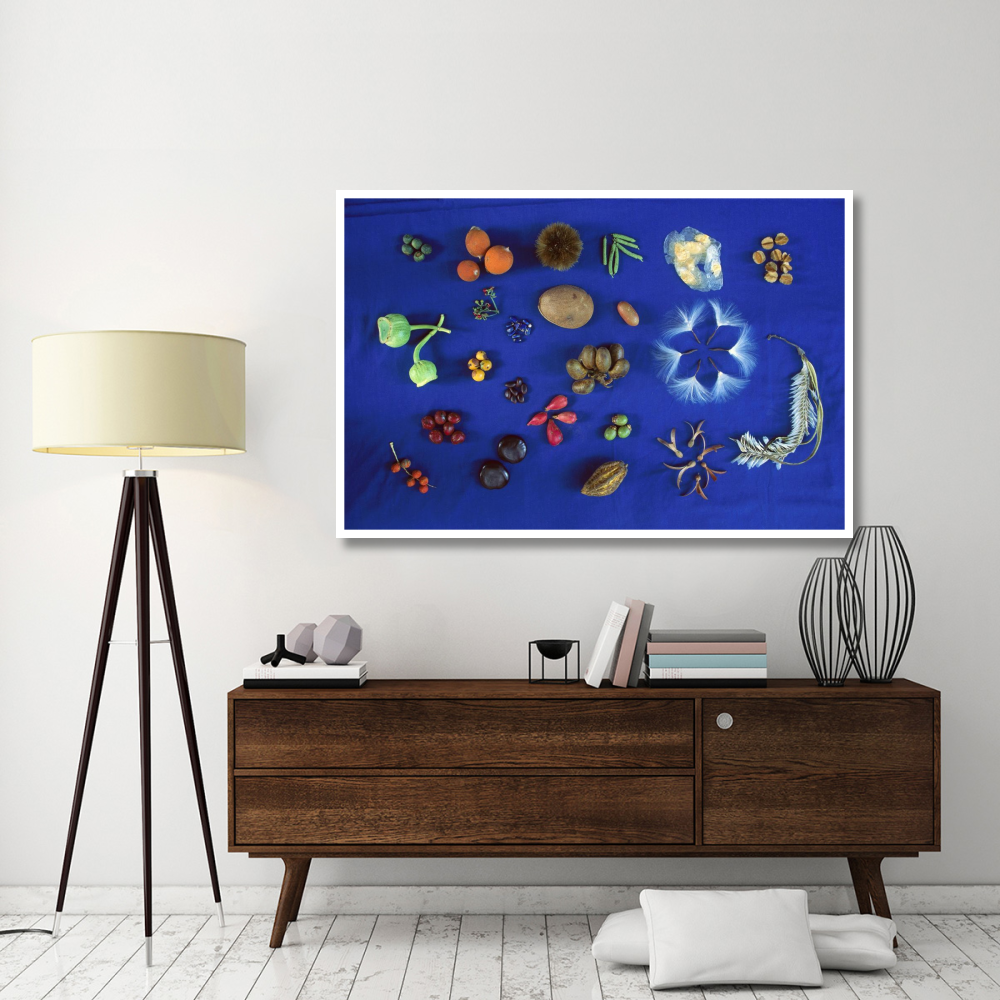 Seed diversity, Barro Colorado Island, Panama-Paper Art-62&quotx42"
