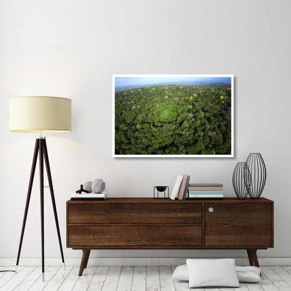 Aerial view of the Canal Zone, Barro Colorado Island, Panama-Paper Art-50&quotx34"