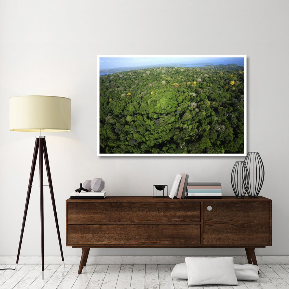 Aerial view of the Canal Zone, Barro Colorado Island, Panama-Paper Art-62&quotx42"