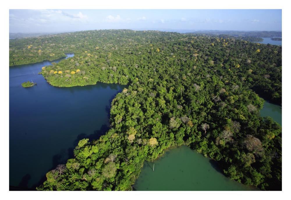 Aerial view of the Canal Zone, Barro Colorado Island, Panama-Paper Art-32"x22"
