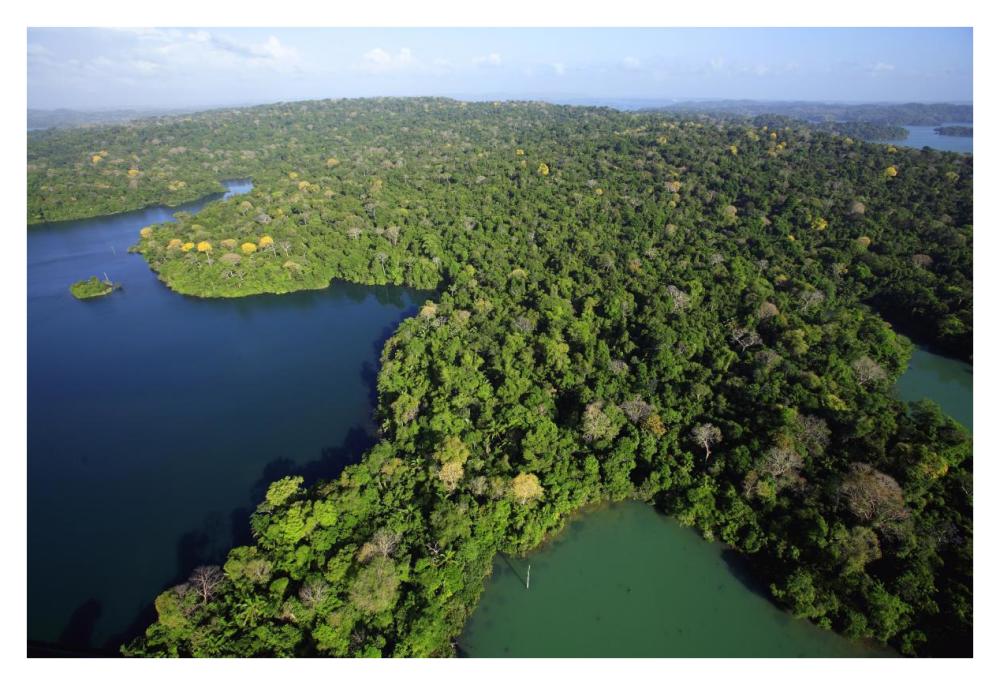 Aerial view of the Canal Zone, Barro Colorado Island, Panama-Paper Art-38"x26"