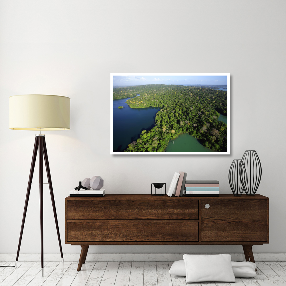 Aerial view of the Canal Zone, Barro Colorado Island, Panama-Paper Art-50&quotx34"