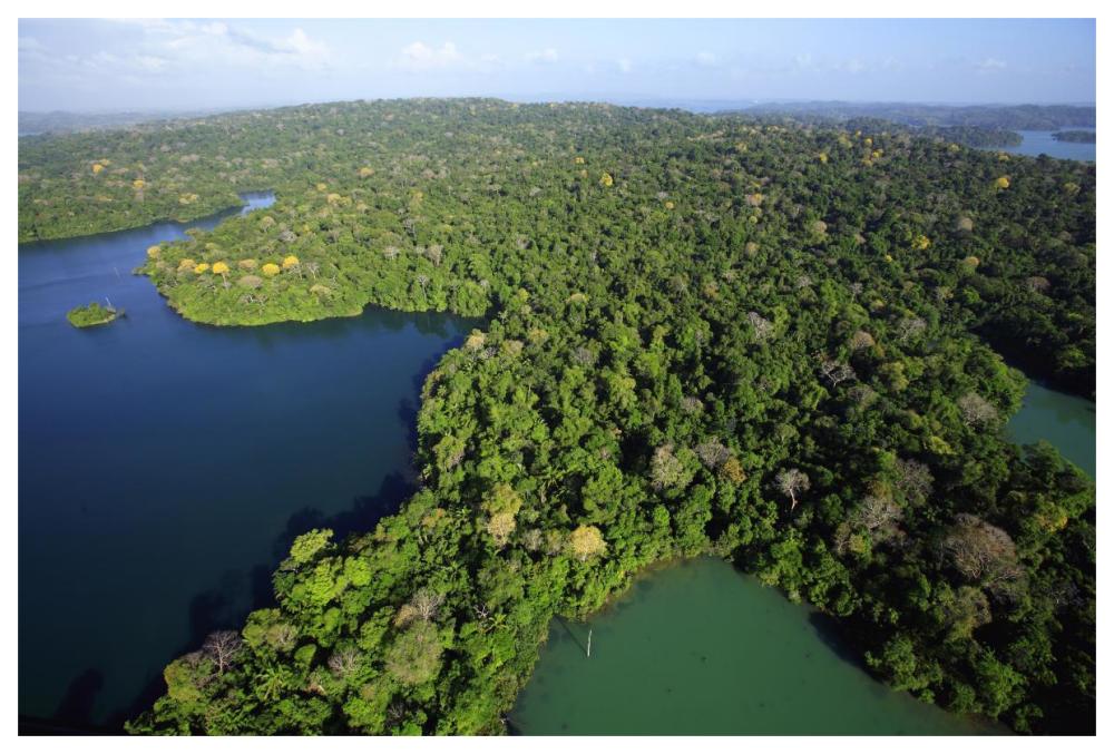 Aerial view of the Canal Zone, Barro Colorado Island, Panama-Paper Art-62"x42"