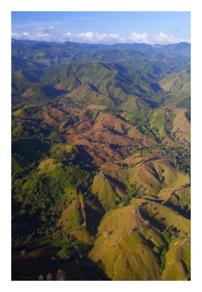 Lowland tropical rainforest cleared for cattle farming, Soberania National Park, Panama-Paper Art-18"x26"