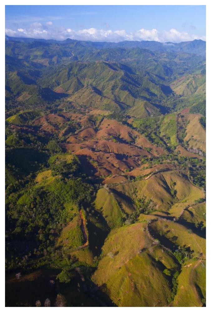 Lowland tropical rainforest cleared for cattle farming, Soberania National Park, Panama-Paper Art-42"x62"