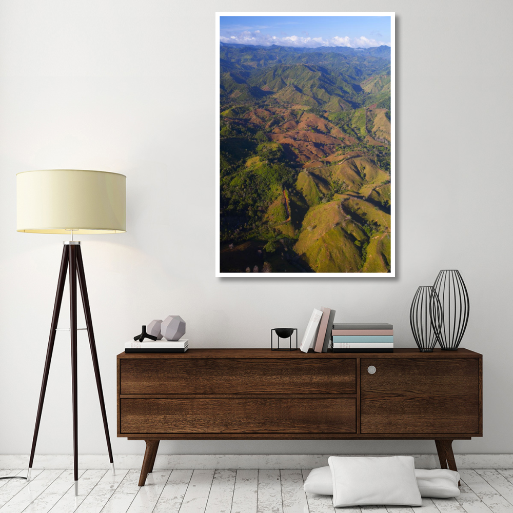 Lowland tropical rainforest cleared for cattle farming, Soberania National Park, Panama-Paper Art-42&quotx62"