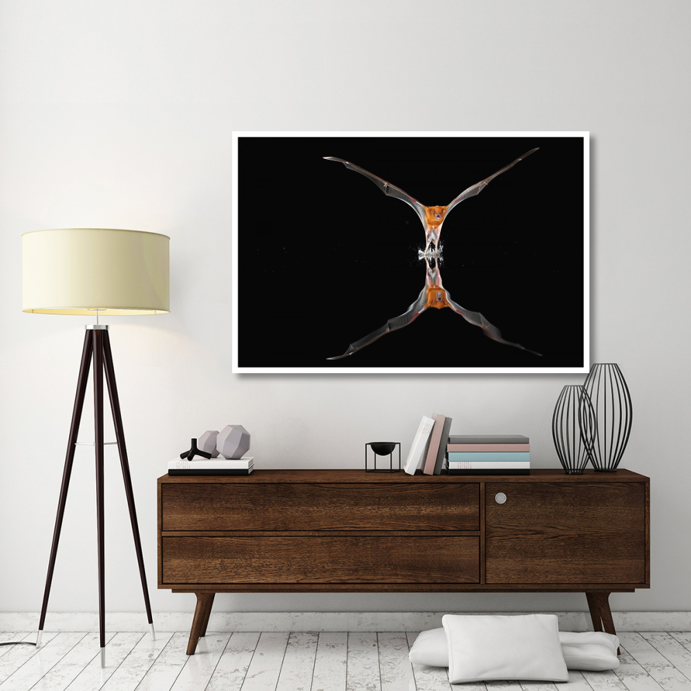 Greater Bulldog Bat fishing, Smithsonian Tropical Research Station, Barro Colorado Island, Panama-Paper Art-62&quotx42"