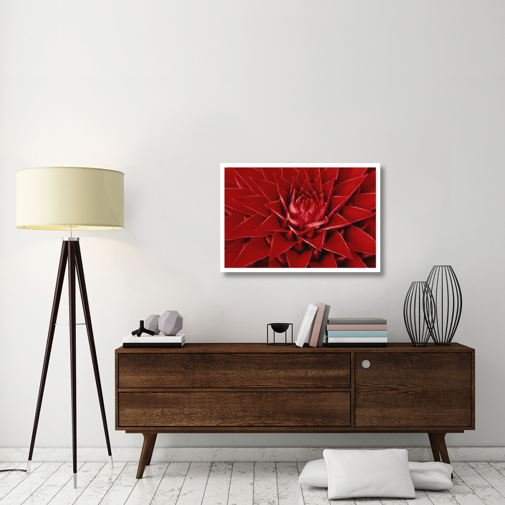 Pingwing Bromeliad enormous flower belonging to the pineapple family, Barro Colorado Island, Panama-Paper Art-38&quotx26"