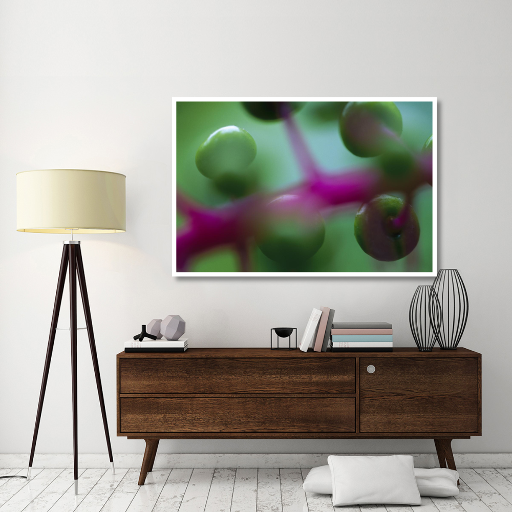 Fruit of an understory plant has an unusual coloration of green and purple, Barro Colorado Island, Panama-Paper Art-62&quotx42"