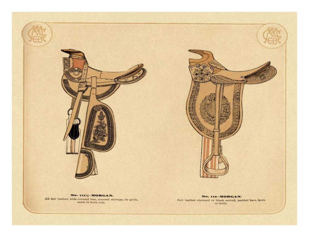 Saddles and Tack: Morgan Saddles #1-Paper Art-26"x20"