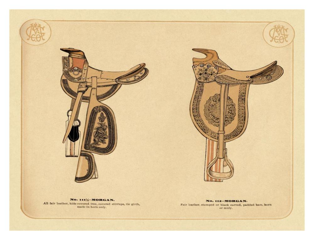 Saddles and Tack: Morgan Saddles #1-Paper Art-34"x26"