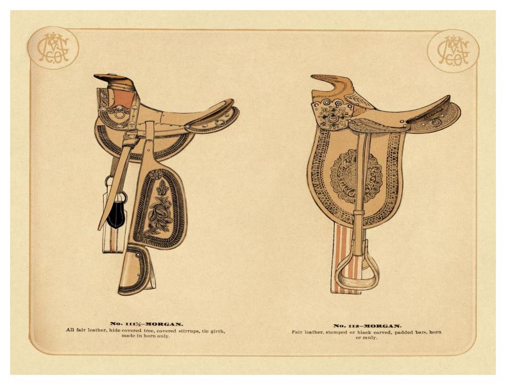 Saddles and Tack: Morgan Saddles #1-Paper Art-50"x38"