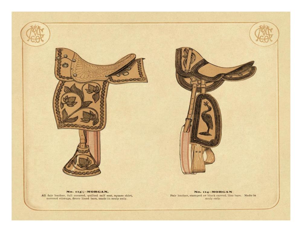 Saddles and Tack: Morgan Saddles #2-Paper Art-26"x20"