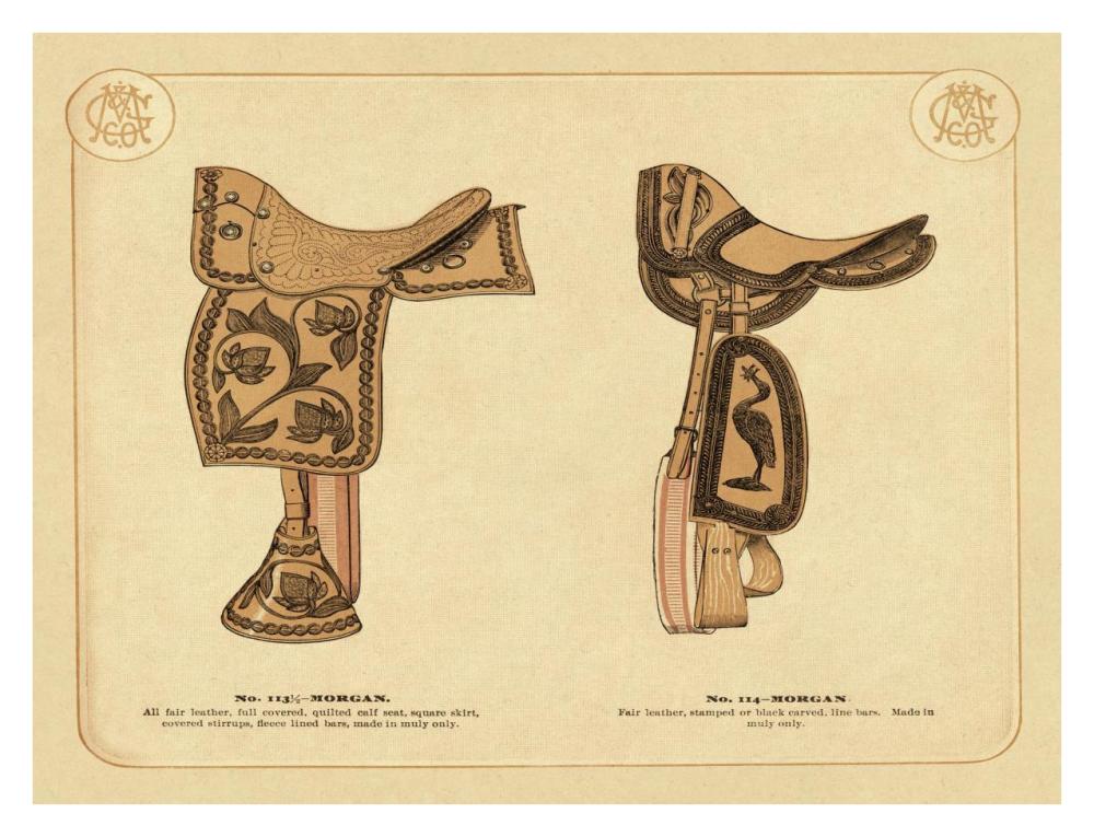 Saddles and Tack: Morgan Saddles #2-Paper Art-34"x26"