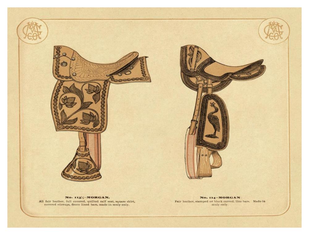 Saddles and Tack: Morgan Saddles #2-Paper Art-42"x32"