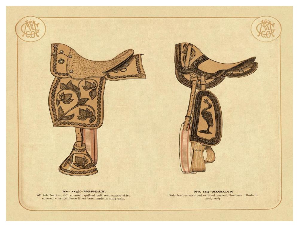Saddles and Tack: Morgan Saddles #2-Paper Art-50"x38"
