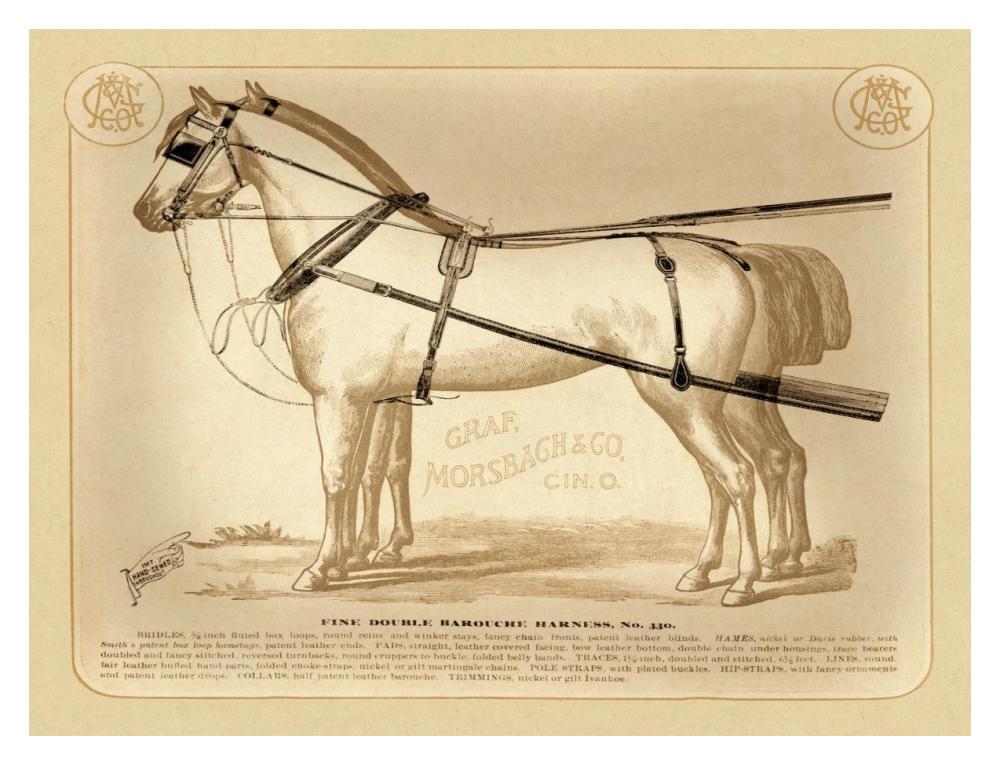 Saddles and Tack: Fine Double Barouche Harness-Paper Art-18"x14"