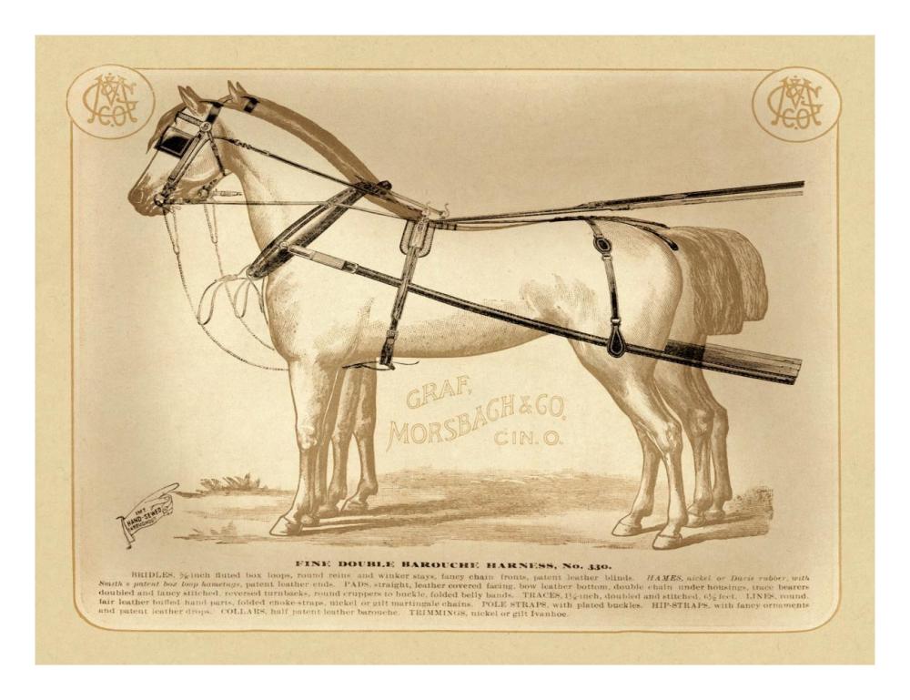 Saddles and Tack: Fine Double Barouche Harness-Paper Art-26"x20"