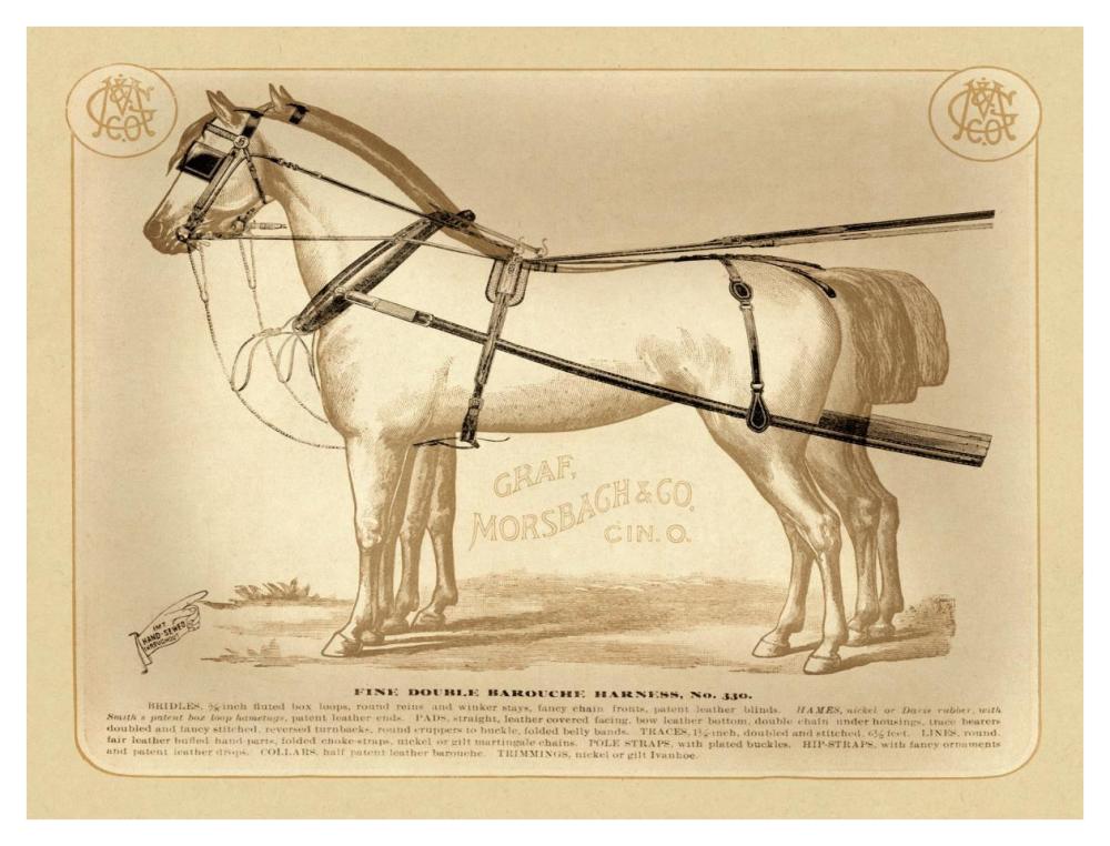 Saddles and Tack: Fine Double Barouche Harness-Paper Art-42"x32"