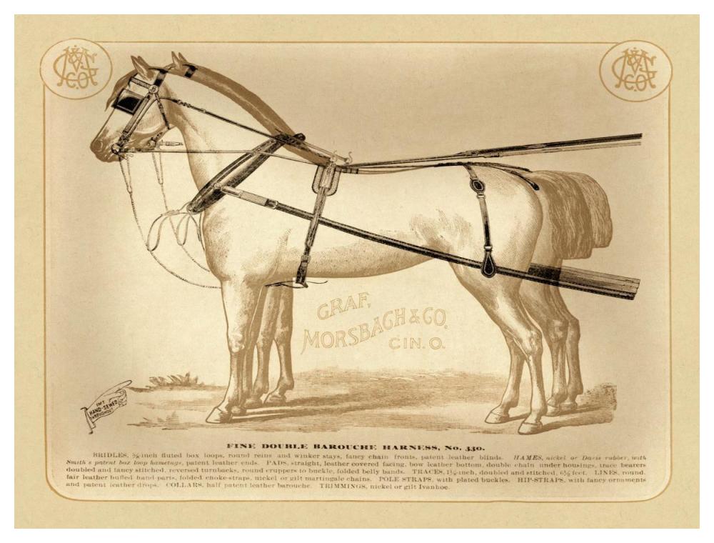 Saddles and Tack: Fine Double Barouche Harness-Paper Art-50"x38"