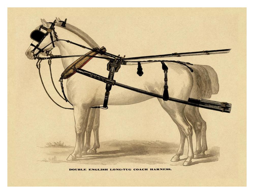 Saddles and Tack: Double English Long-Tug Coach,Sport,Competition,Sports,Play,win,score Harness-Paper Art-18"x14"