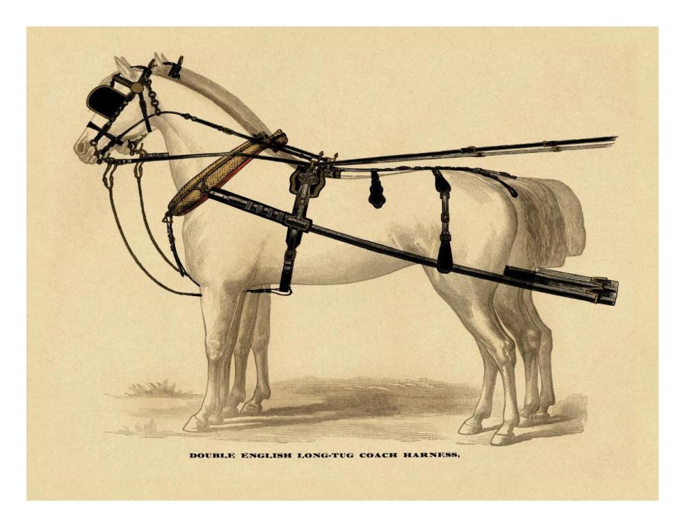 Saddles and Tack: Double English Long-Tug Coach,Sport,Competition,Sports,Play,win,score Harness-Paper Art-26"x20"