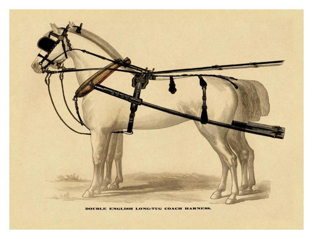 Saddles and Tack: Double English Long-Tug Coach,Sport,Competition,Sports,Play,win,score Harness-Paper Art-34"x26"