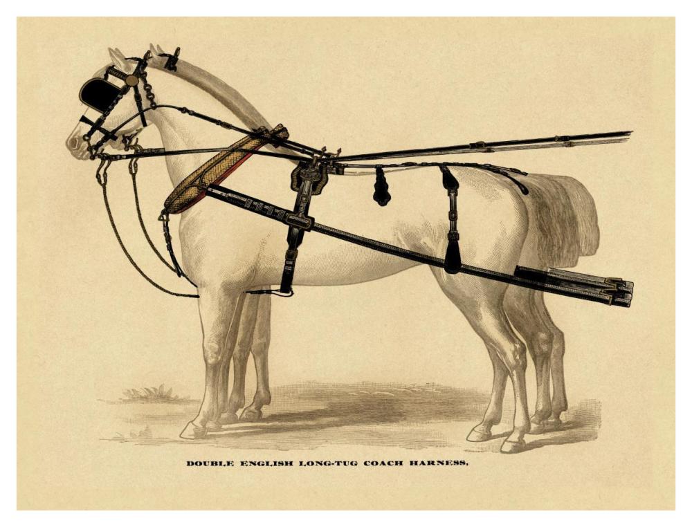 Saddles and Tack: Double English Long-Tug Coach,Sport,Competition,Sports,Play,win,score Harness-Paper Art-42"x32"