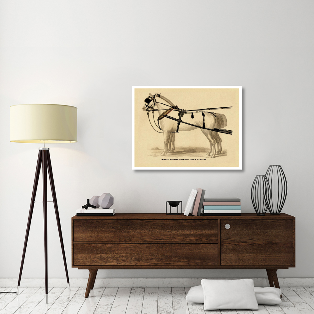 Saddles and Tack Double English Long-Tug Coach,Sport,Competition,Sports,Play,win,score Harness-Paper Art-42&quotx32"