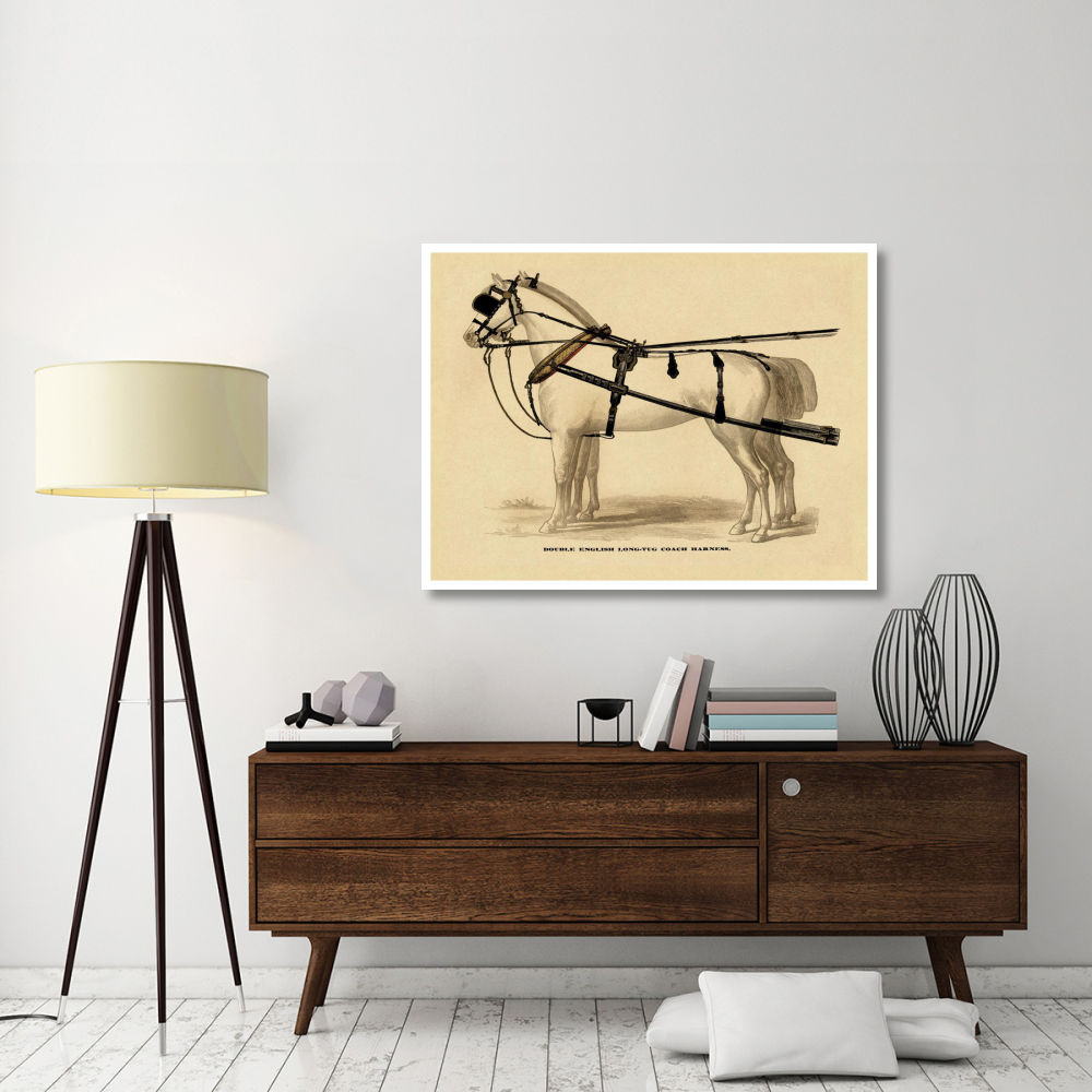 Saddles and Tack Double English Long-Tug Coach,Sport,Competition,Sports,Play,win,score Harness-Paper Art-50&quotx38"