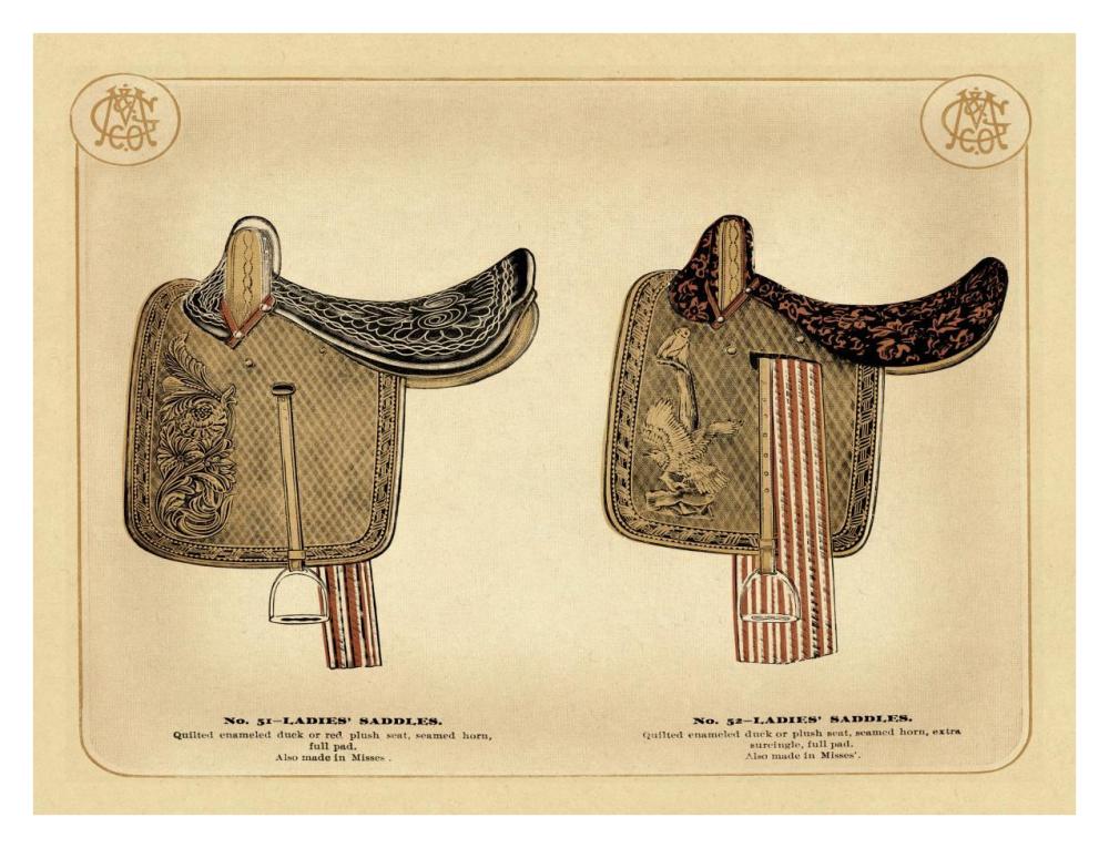 Saddles and Tack: Ladies' Saddles #1-Paper Art-34"x26"