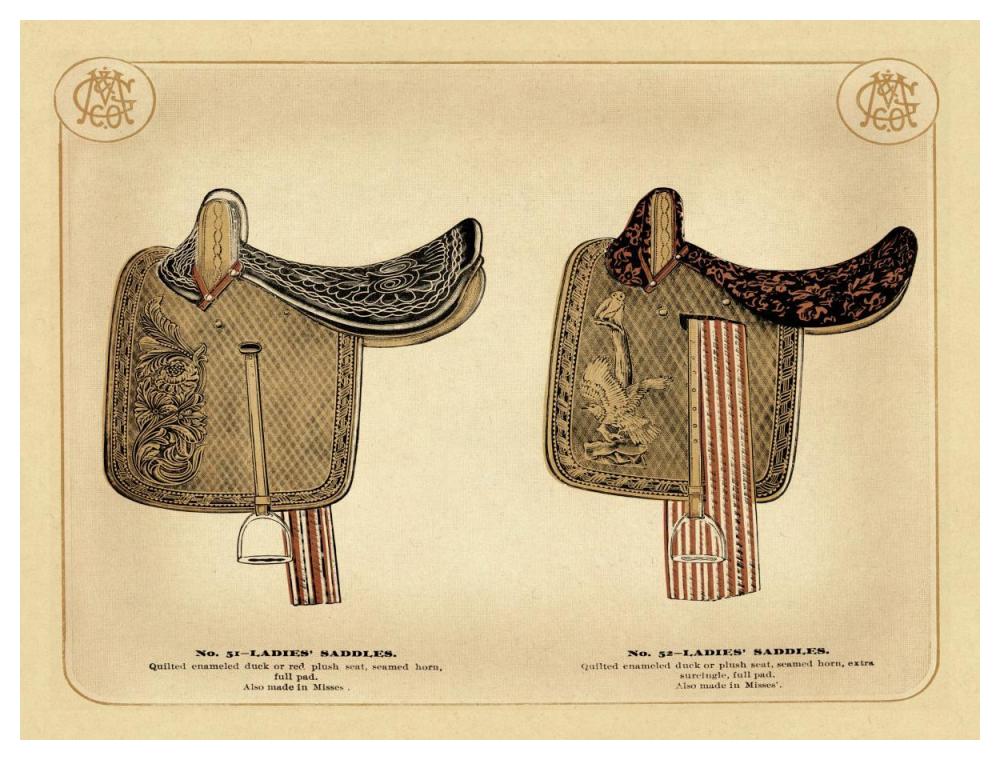 Saddles and Tack: Ladies' Saddles #1-Paper Art-50"x38"