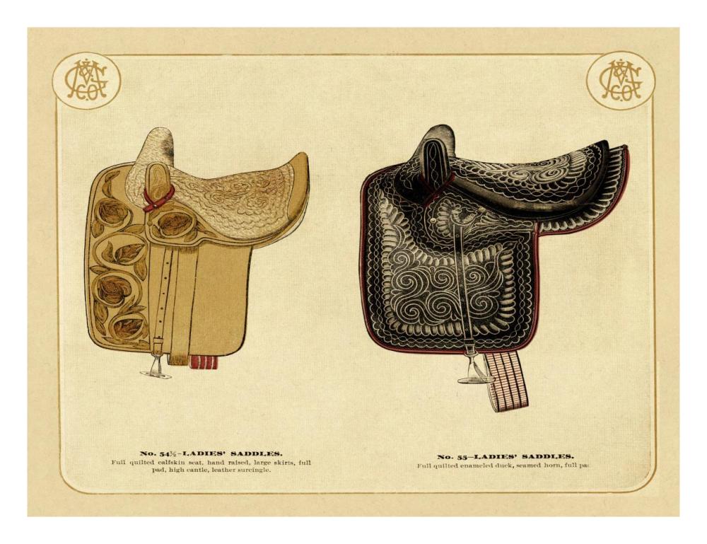 Saddles and Tack: Ladies' Saddles #3-Paper Art-26"x20"