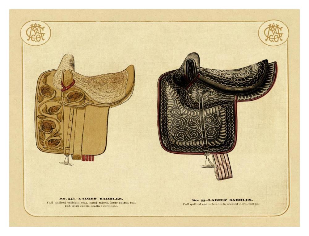 Saddles and Tack: Ladies' Saddles #3-Paper Art-34"x26"