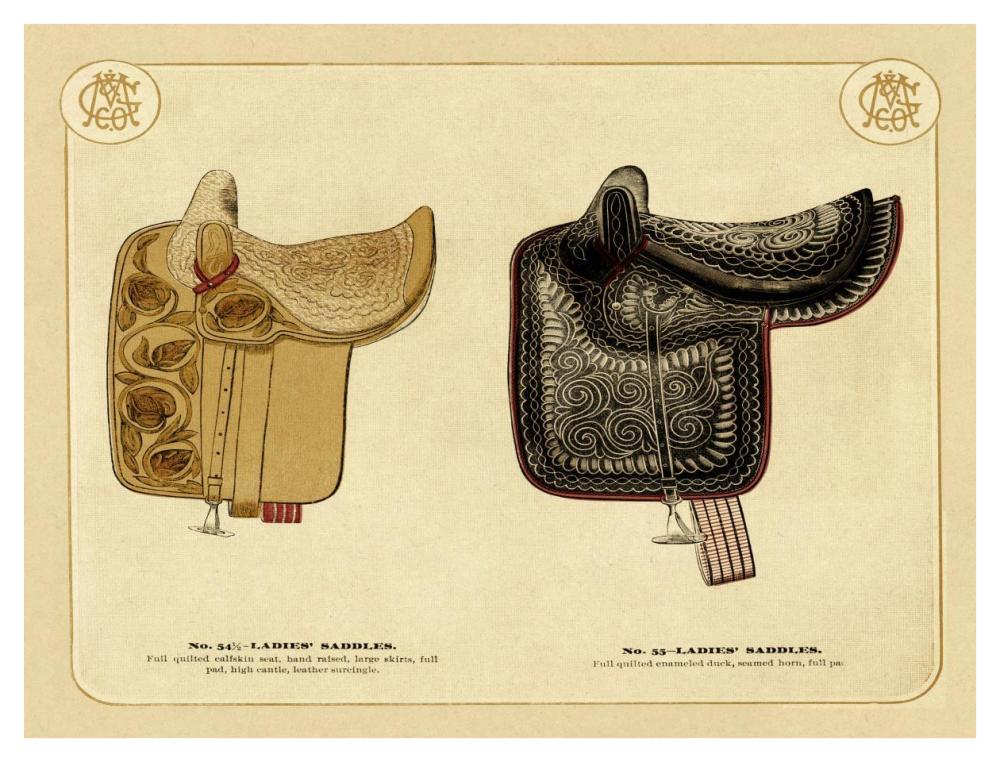 Saddles and Tack: Ladies' Saddles #3-Paper Art-42"x32"