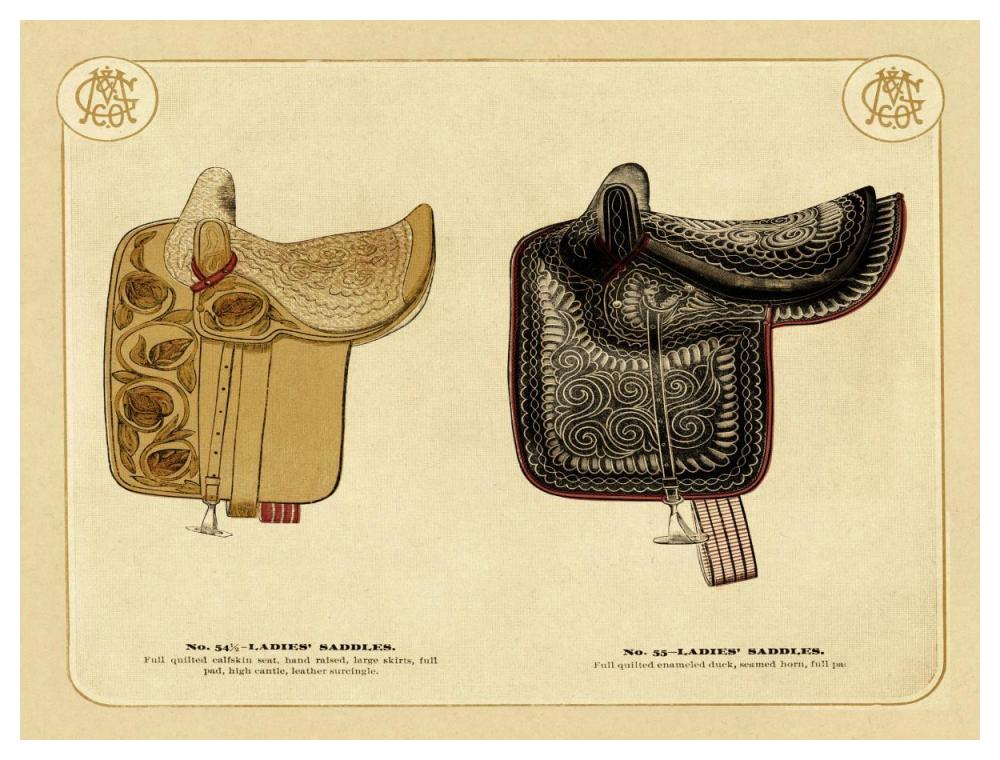 Saddles and Tack: Ladies' Saddles #3-Paper Art-50"x38"