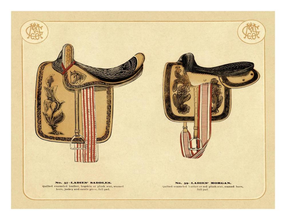 Saddles and Tack: Ladies' Saddles #4-Paper Art-26"x20"