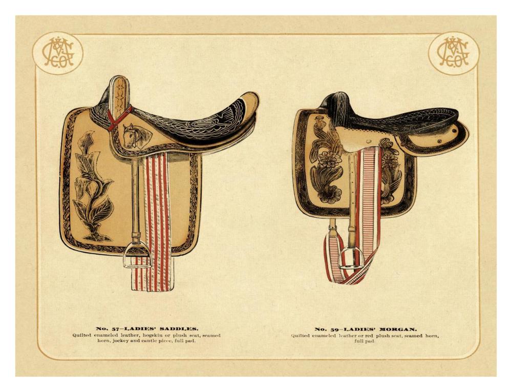 Saddles and Tack: Ladies' Saddles #4-Paper Art-34"x26"