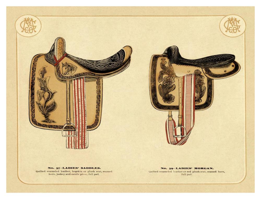 Saddles and Tack: Ladies' Saddles #4-Paper Art-42"x32"