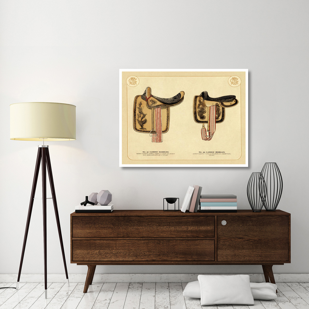 Saddles and Tack Ladies' Saddles 4-Paper Art-50&quotx38"