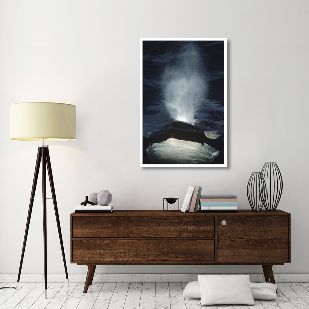 Orca surfacing, British Columbia, Canada-Paper Art-34&quotx50"