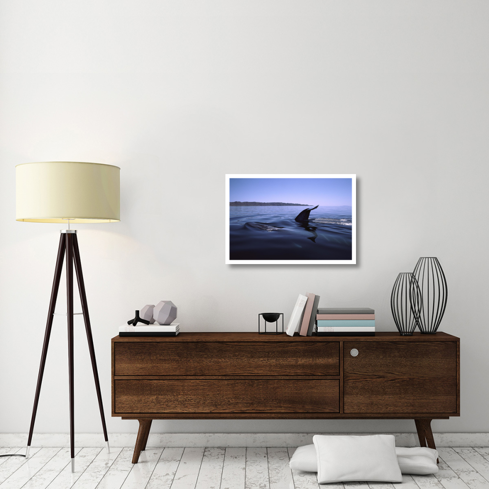 Fin Whale pair surfacing, Sea of Cortez, Mexico-Paper Art-32&quotx22"