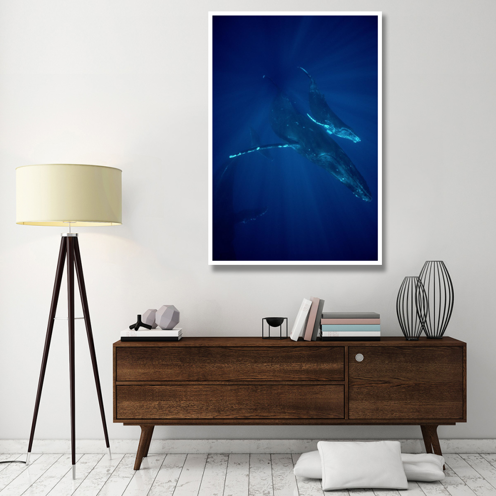 Humpback Whale mother and calf, Hawaii-Paper Art-42&quotx62"