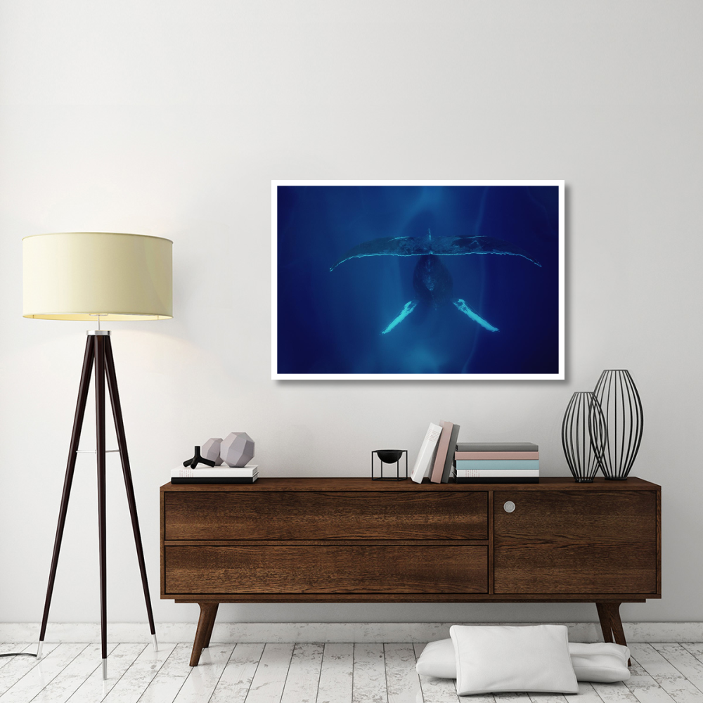 Humpback Whale singing, Maui-Paper Art-50&quotx34"
