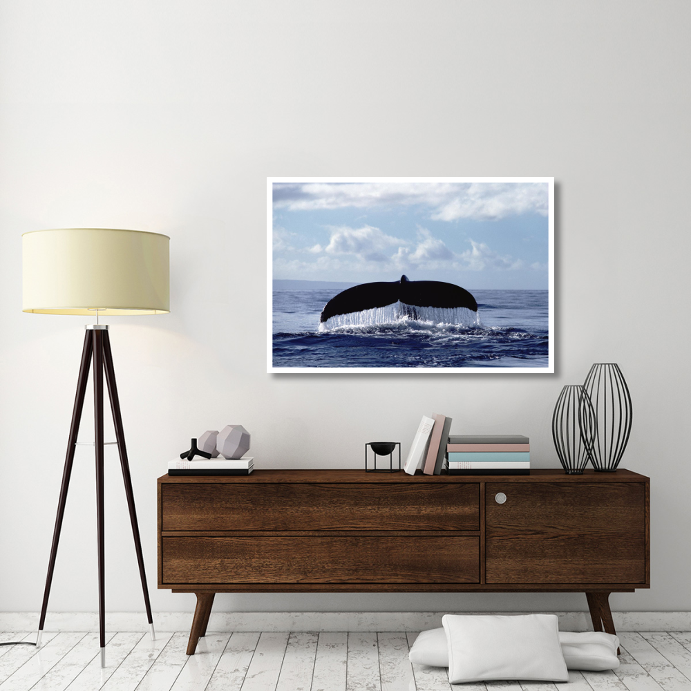 Humpback Whale tail-Paper Art-50&quotx34"